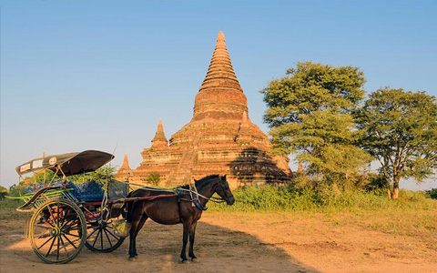 Horse cart ride through the pagodas