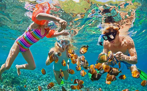 Phi Phi Islands snorkelling
