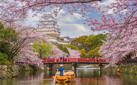 When is the Best Time to Visit Japan? 